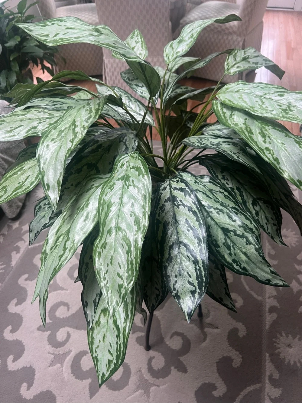 Chinese Evergreen (Aglaonema Decorative Faux Green Variegated Houseplant in Vase